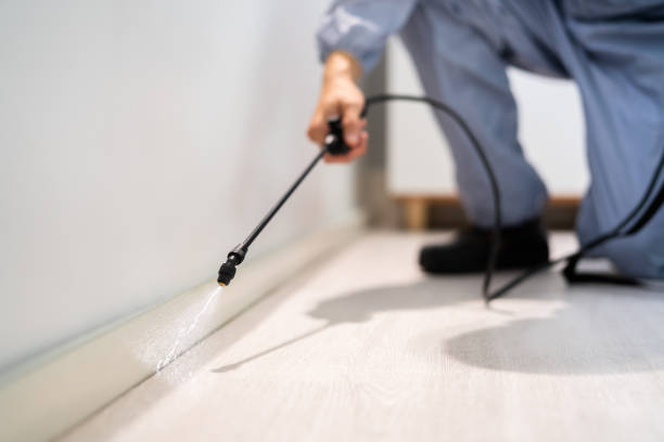 Certified termite inspector examining foundation in Long Branch