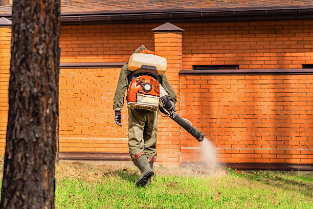 Top rated local Mosquito Control specialists in Long Branch, NJ